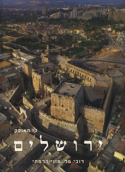 Item #15938 JERUSALEM: SKYLINE. Duby Tal, Moni Haramati.