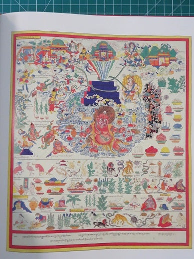 TIBETAN MEDICAL PAINTINGS: Illustrations to the Blue Beryl Treatise of  Sangye Gyamtso 1653-1705 by Yuri Parfionovitch, Gyurme Dorje, Fernand Meyer  on