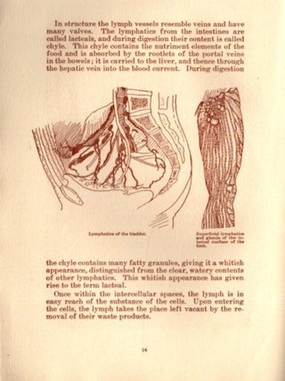 THE CIRCULATORY SYSTEM.