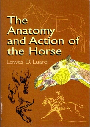 Item #29800 THE ANATOMY AND ACTION OF THE HORSE. Lowes D. Luard