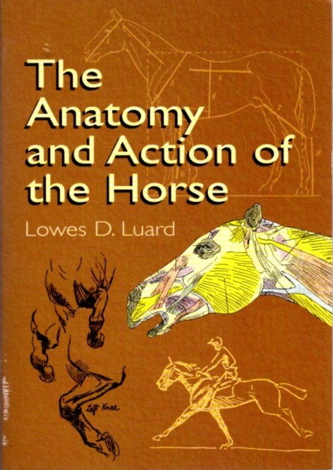 Item #29800 THE ANATOMY AND ACTION OF THE HORSE. Lowes D. Luard.