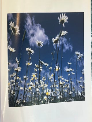 WILDFLOWERS ACROSS AMERICA.